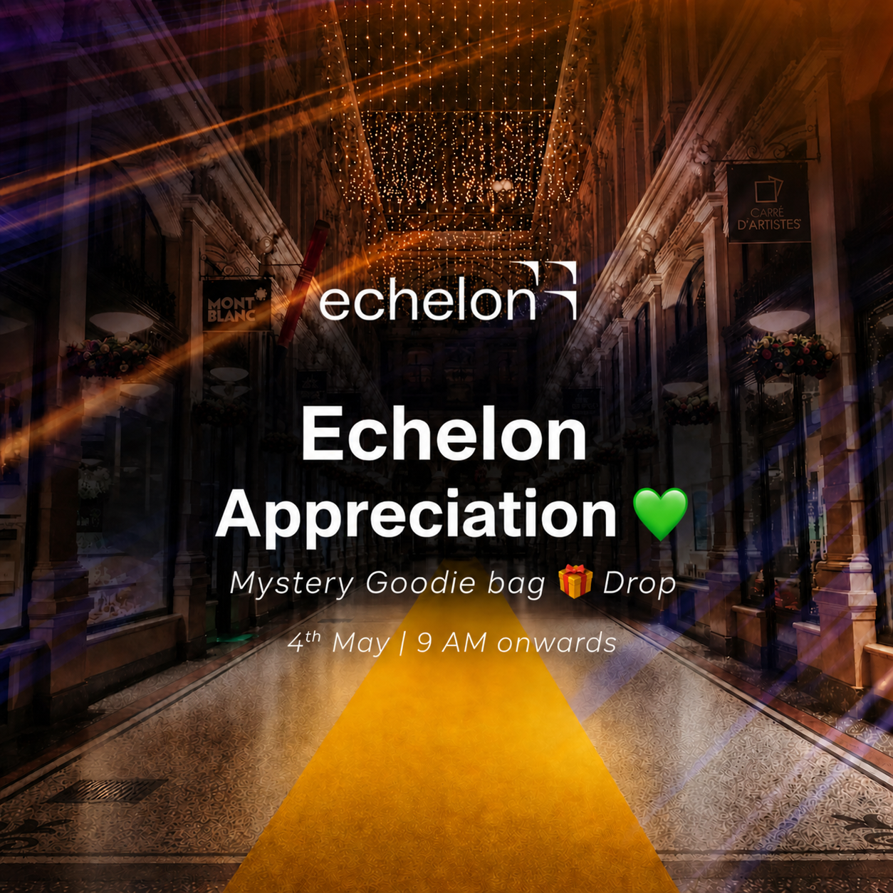 Echelon Appreciation Swag | Mystery Goodie Bag 🎁 Drop